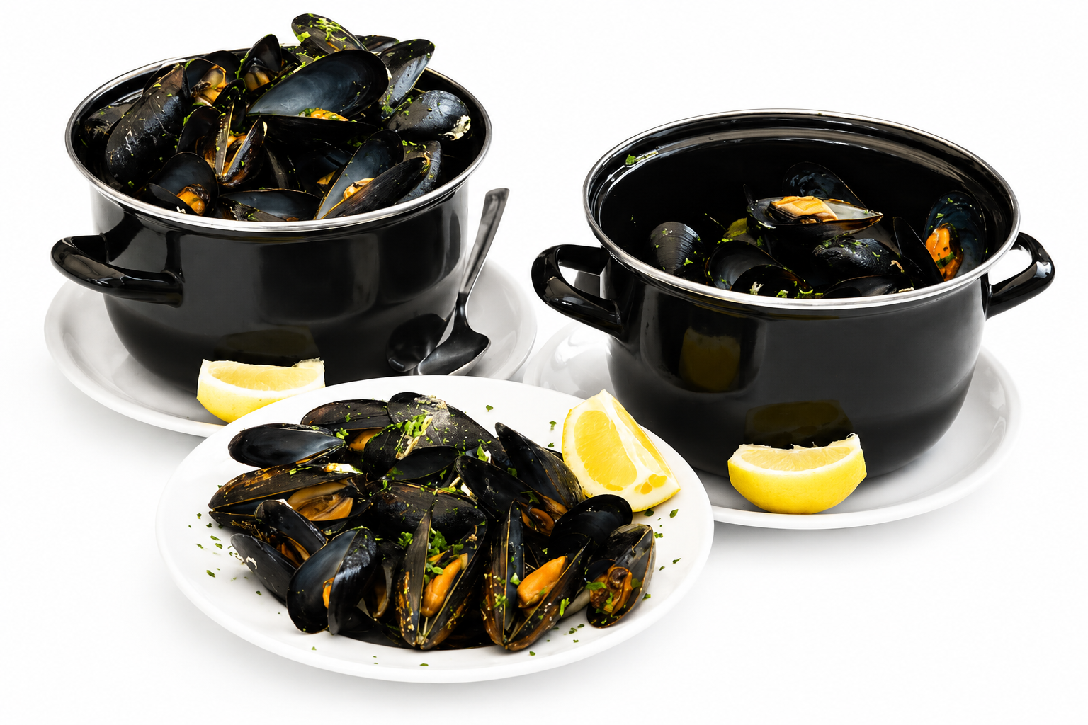 Cozze
